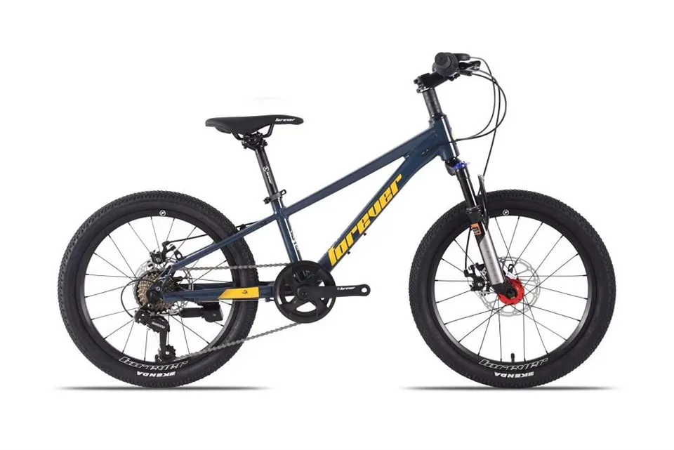 Чоловічий і жіночий гірський велосипед