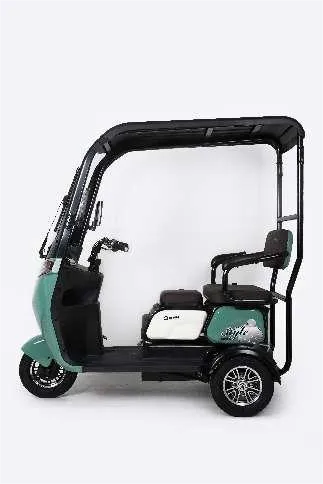 Електричний трайк